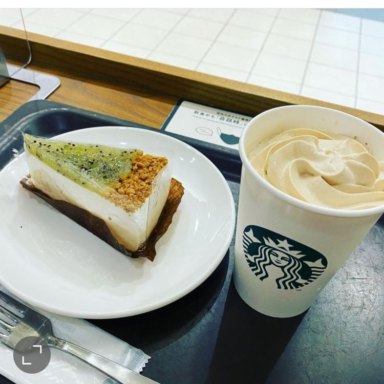 キウイフルーツのレアチーズケーキ